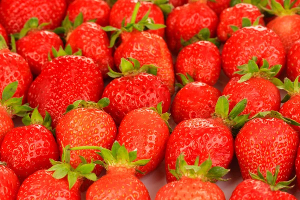 Frische Erdbeeren aus nächster Nähe — Stockfoto