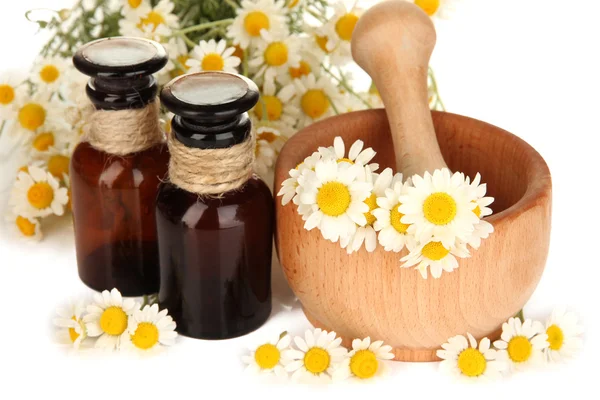 Óleo essencial e flores de camomila em argamassa fechar — Fotografia de Stock