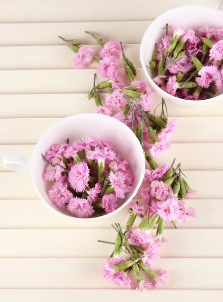 Wiele małych różowy ząbki w kubki na drewniane tła — Zdjęcie stockowe