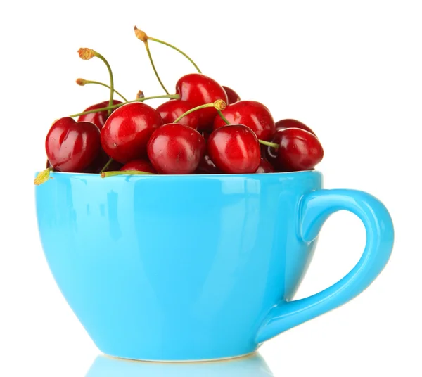 Bayas rojas maduras de cereza en taza aisladas en blanco — Foto de Stock