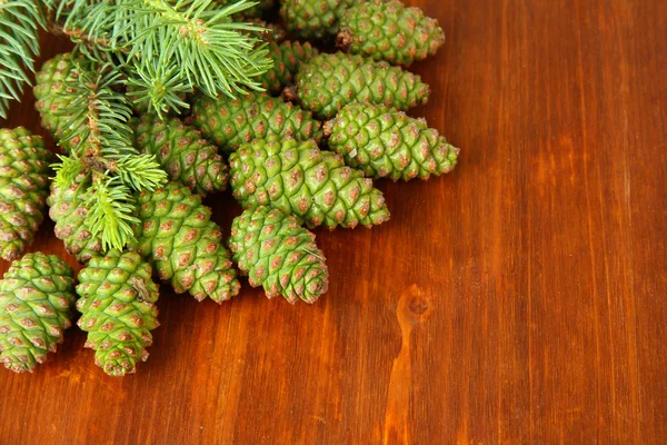 Green cones and fir tree on wooden background — Stock Photo, Image