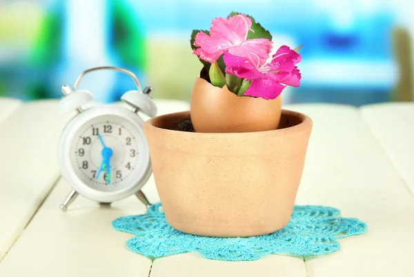 Flowers growing from egg shell, on bright background — Stock Photo, Image