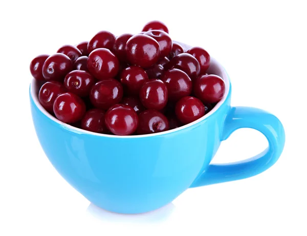 Sweet cherry in cup isolated on white — Stock Photo, Image