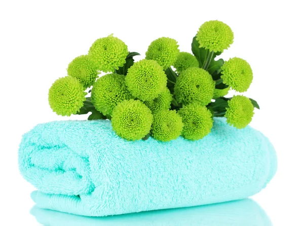 Krásná zelená chryzantéma s ručníkem izolovaných na bílém — Stock fotografie