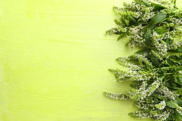 Fiori di menta fresca su sfondo verde in legno — Foto Stock