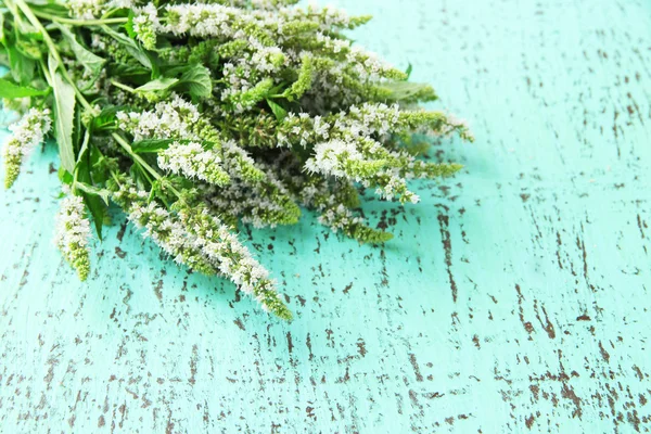 Frische Minzblüten auf blauem Holzhintergrund — Stockfoto