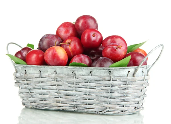 Ripe plums in basket isolated on white — Stock Photo, Image