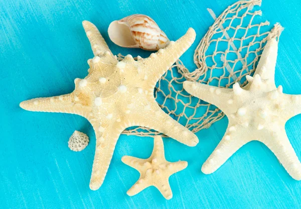 푸른 나무 테이블 클로즈업에 흰색 starfishes — 스톡 사진