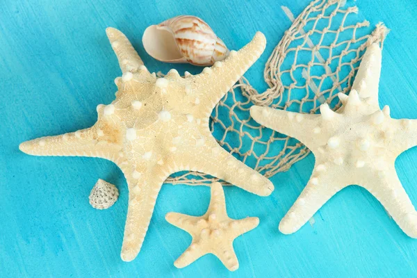 White starfishes on blue wooden table close-up — Stock Photo, Image