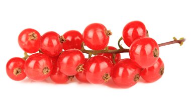 redcurrants üzerinde beyaz izole