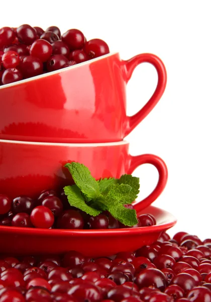 Ripe red cranberries in cups, isolated on whit — Stock Photo, Image