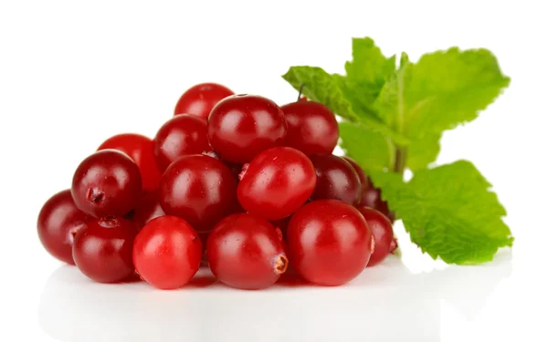 Ripe red cranberries, isolated on whit — Stock Photo, Image