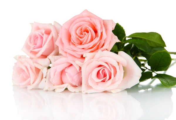 Beautiful bouquet of roses isolated on white — Stock Photo, Image