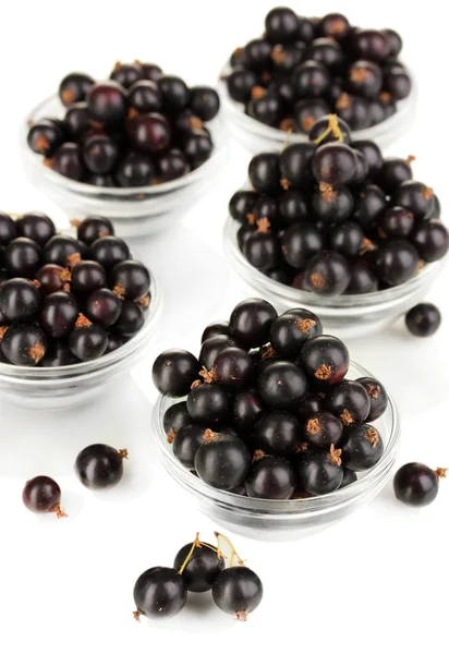 Frische schwarze Johannisbeere isoliert auf weiß — Stockfoto