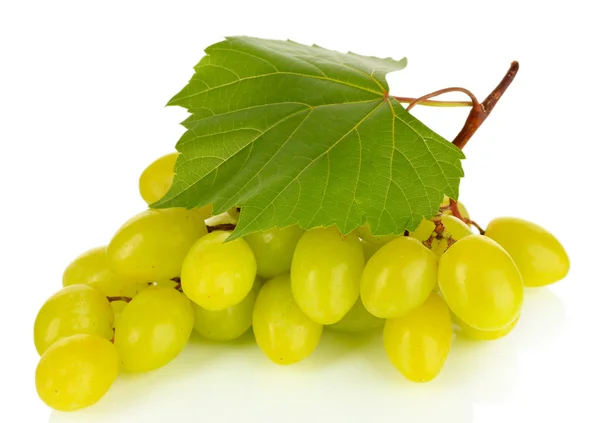 Uvas maduras deliciosas isoladas em branco — Fotografia de Stock