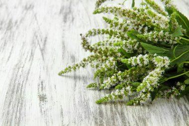 ahşap zemin üzerinde çiçekler taze nane