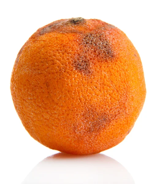 Rotten orange isolated on white — Stock Photo, Image