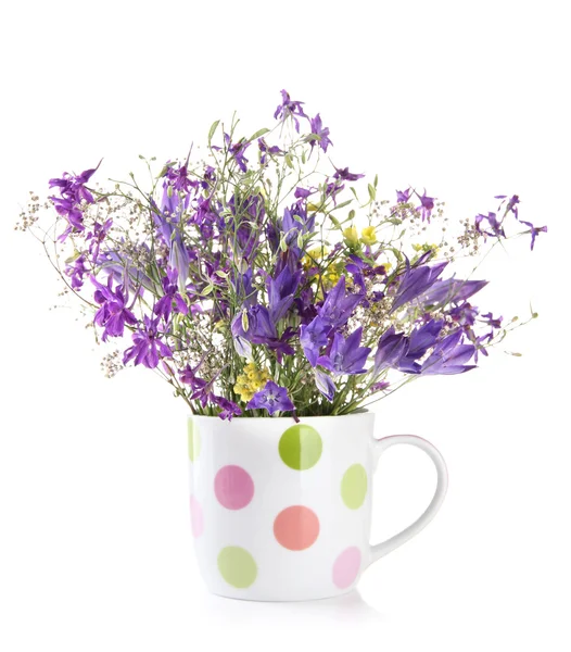 Beautiful bouquet of wildflowers in cup, isolated on white — Stock Photo, Image