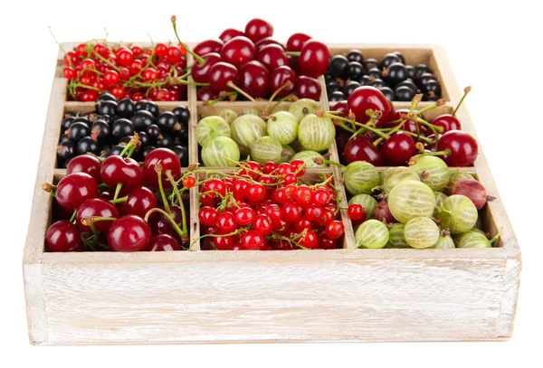 Different summer berries in wooden crate isolated on white — Stock Photo, Image