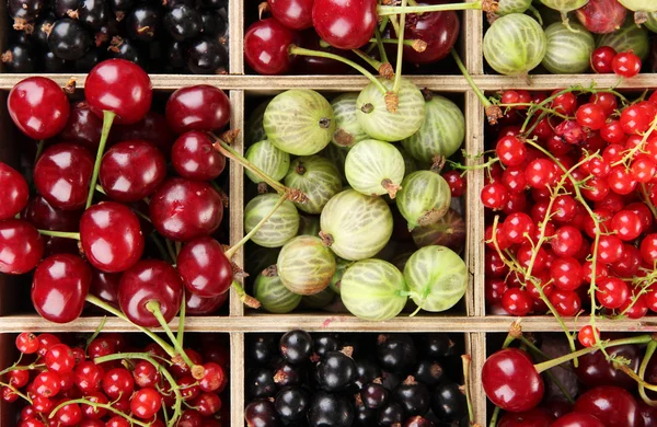 Different summer berries in wooden crate, close up — Stock Photo, Image