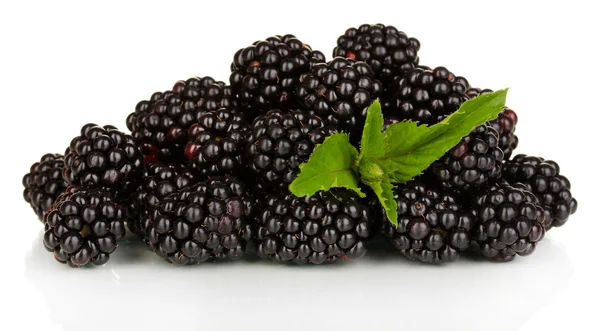 甜黑莓上白色隔离 — 图库照片