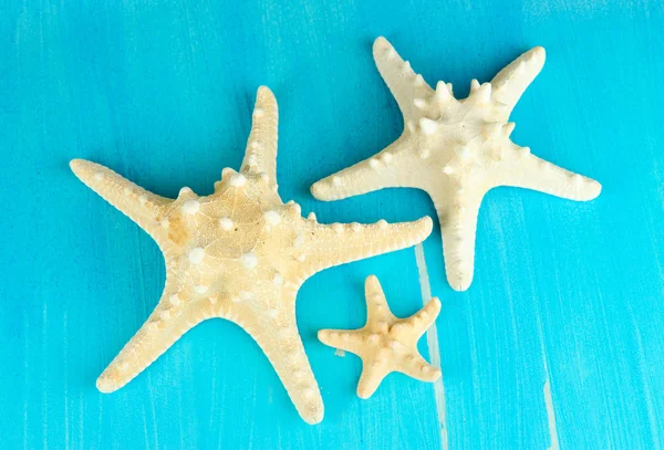 Белые морские звезды на синем деревянном столе крупным планом — стоковое фото