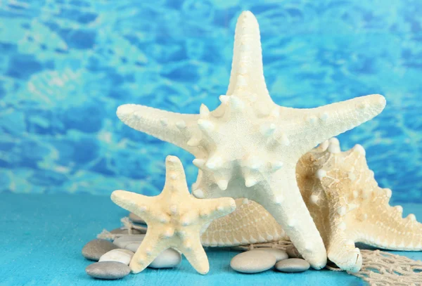 海背景上的蓝色木桌上的白色 starfishes — 图库照片