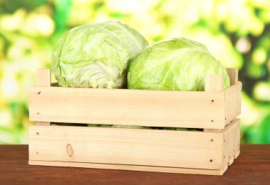 Ahşap kutusunda, parlak zemin üzerine yeşil lahana