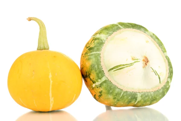 Two pumpkins isolated on white — Stock Photo, Image