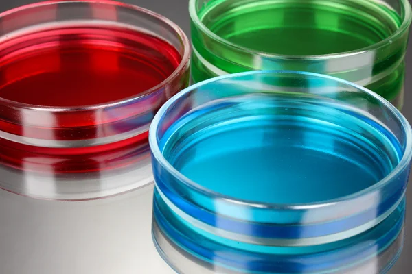 Colore liquido in capsule di Petri su fondo grigio — Foto Stock