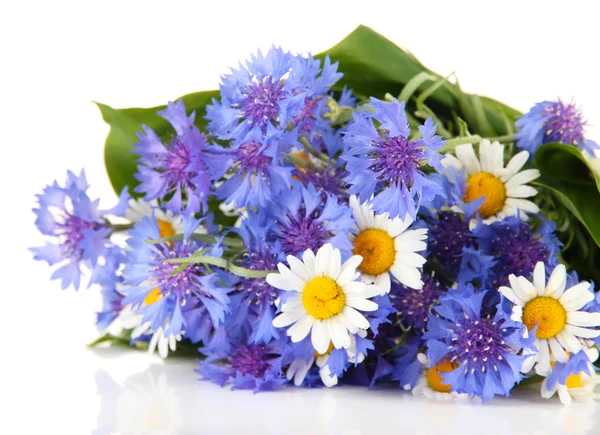 Belo buquê de flores de milho e camomila, isolado em branco — Fotografia de Stock