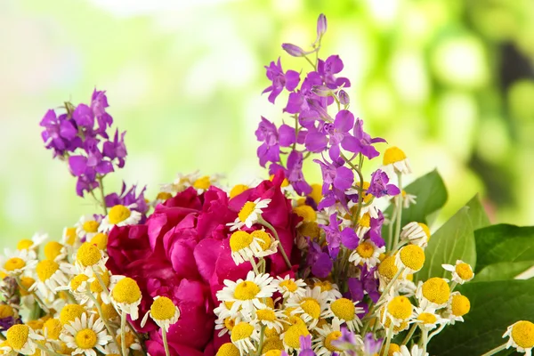 Bukiet kwiatów, na jasnym tle — Zdjęcie stockowe