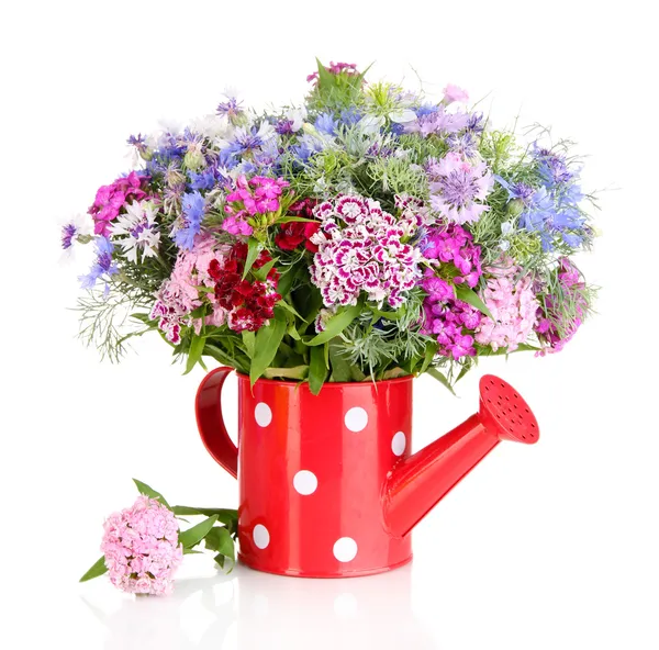 Beautiful bouquet in watering can isolated on white — Stock Photo, Image