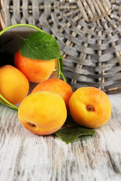 Apricots in bucket on wooden table near wicker coasters — Stock Photo, Image