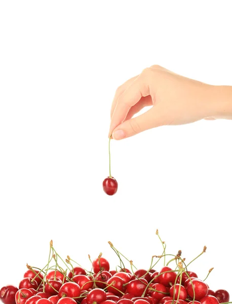 체리 딸기 흰색 절연 — 스톡 사진