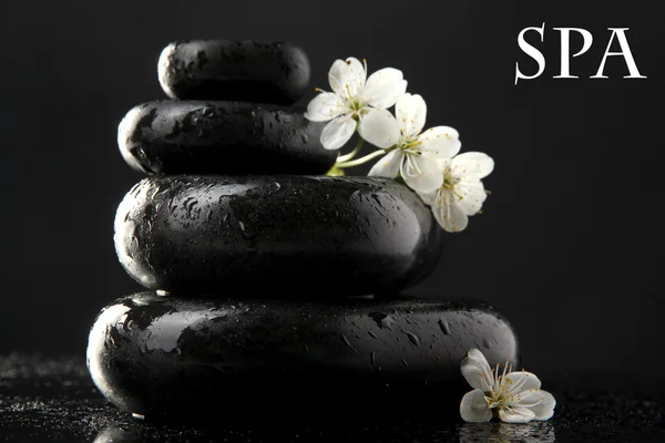 Spa stones and white flowers isolated on black — Stock Photo, Image