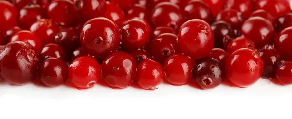 Ripe red cranberries, isolated on whit Stock Photo