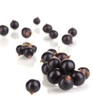 beyaz izole taze Siyah frenk üzümü