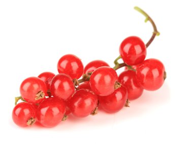 redcurrants üzerinde beyaz izole