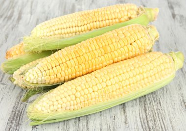 taze Mısır sebze ahşap tablo