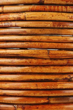 Bambu Arkaplanı