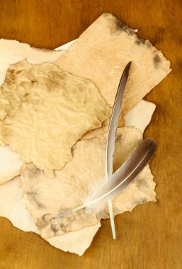 ahşap zemin üzerinde eski kağıtlar