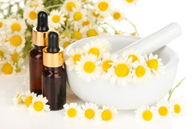 esans ve harç papatya çiçekleri kapat