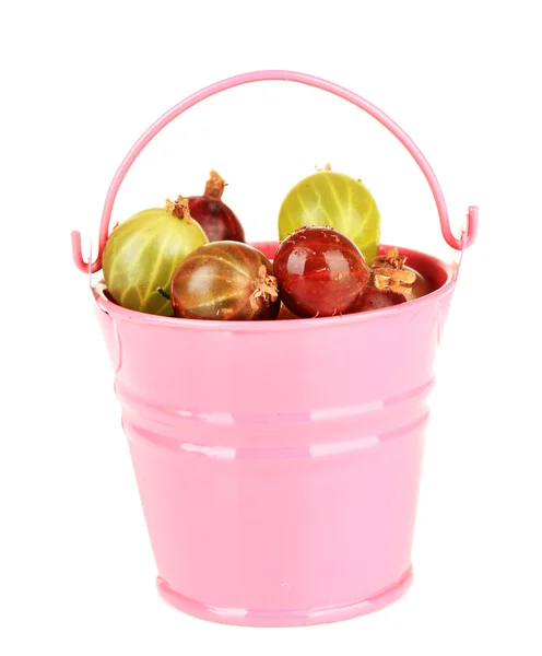 Fresh gooseberries in bucket isolated on white — Stock Photo, Image