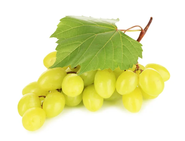 Uvas maduras deliciosas isoladas em branco — Fotografia de Stock