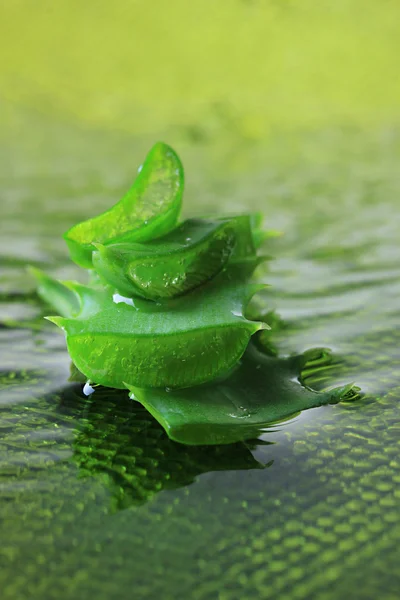 Primer plano de las hojas de aloe frescas — Foto de Stock