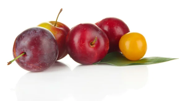 Ripe plums isolated on white — Stock Photo, Image