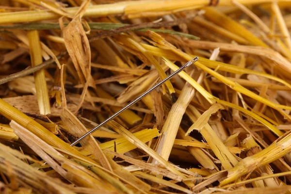 Aguja en un pajar de cerca — Foto de Stock