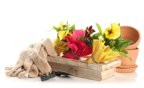 Krásný jarní květiny v dřevěné bedně a zahradnické nástroje izolovaných na bílém — Stock fotografie