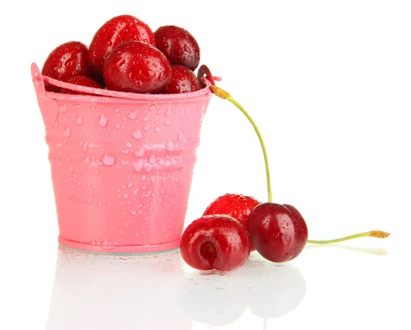 Maturare bacche di ciliegia rossa in secchio isolato su bianco — Foto Stock
